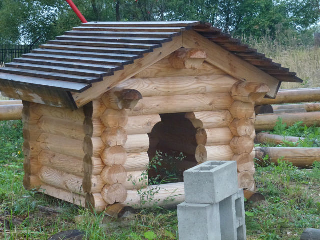 фото деревянных будок для собак